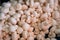 A close-up of champignons. Top view of a shelf with mushrooms in the market.