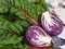 Close-up of chard leaves with half-sliced red cabbage. Fermentation. Freshly picked organic vegetables in a wooden box turnips,