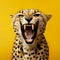 Close-up Cheetah portrait, studio shoot concept on yellow background