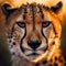 Close-Up Cheetah Portrait at Sunset - Majestic Wildlife Photography. Generative AI