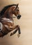 Close-up of chestnut jumping horse in a hackamore