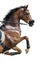 Close-up of chestnut jumping horse in a hackamore