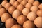 Close - up of chicken eggs in package