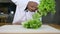 Close up of chief man making salad healthy food and chopping lettuce on cutting board