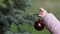 Close-up of a child is hand putting on a Christmas toy, red ball on the Christmas tree. Little girl decorate a Christmas tree in t