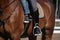 Close up of child and his mother sitting on horse