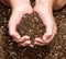 Close-up of child holding dirt