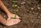 Close-up of child planting a small plant