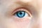 Close-up of a child& x27;s eye. Blue iris. Children& x27;s eyeball.