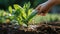 Close-up of a child\\\'s hand watering a young plant