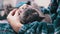 Close up, Child Strokes Head of a Gray Fluffy British Cat with his Hand