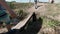 Close up of children crossing a narrow stream on a wooden log. Clip. One boy running on a wooden beam and another