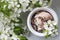Close-up of chocolate ice cream in a white bowl surrounded by beautiful flowering apple tree branches.