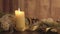 Close up of a Christmas setting with moving flames of a lit candle, pine boughs, natural pine cones, golden satin and white organz