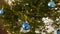 Close-up of a Christmas tree in the decorating process. Blue glossy balls and a garland on the branches of a tree with