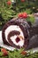 Close up of Christmas yule log cake on plate under tree