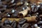 Close-up cinnamon stick and coffee beans