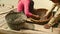 close up of clam diggers sorting river clams out from rocks in a bamboo basket and keeping it in a basin