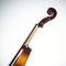 Close up of classic violoncello on white background.