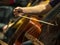 Close-up on classical string instruments - Double bass - Side view - Depth of field