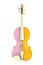 Close up of classical yellow pink violin isolated on white background, String instrument