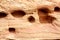Close up of a cliff wall holes in Utah.