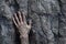 close-up of climbers hands gripping a rocky surface