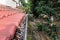 Close-up of clogged roof rain gutter full of dry leaf and plant growing in it