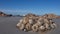 Close up of a cluster of argenville`s limpets, which is endemic to the west coast of South Africa and Namibia