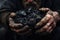 close-up of coal chunks in miners dirty hands