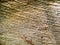 Close up of a coconut coir structure, shot on a coconut fiber tree, brown natural background for consumption and environmental