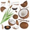 Close-up of a coconut collection on white background