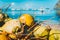 Close up of coconut fruits on the corong corong beach in El Nido, Palawan, Philippines