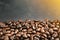 Close up coffee beans on black background, coppy space