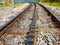 Close-up of cogwheel railway line. La rhune train