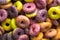 Close up Colored cereal.