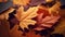 Close-up of colorful autumn leaves, full frame background.