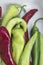 Close-up of colorful bitter peppers. Pods of red and green bitter pepper. Harvest vegetables