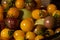 Close up of colorful cherry tomatoes: green, yellow, orange and red