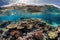 close-up of colorful coral reef, with schools of fish swimming in the background