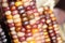 Close-up of colorful dried Indian Corn as decoration