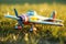 close-up of a colorful toy plane resting on dewy grass in early morning light