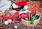 Close up colorful yarn in basket red, rose, blue, green, coiled in ball skein on wolen carpet. Knitting and crochet