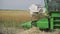 Close up of combine harvester cutting rapeseed plants in the field. Breeding field