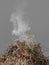 Close-up at combustion of a big pile of straw. Opaque smoke over a heap.