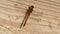 Close up of Common Darter dragonfly - sympetrum striolatum - in County Donegal - Ireland.