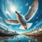 Close-up of a common seagull as it flies the through the sky