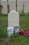 Close Up Of Commonwealth War Graves At The Nieuwe Ooster Graveyard At Amsterdam The Netherlands 2019