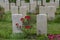 Close Up Of Commonwealth War Graves At The Nieuwe Ooster Graveyard At Amsterdam The Netherlands 2019Close Up Of Commonwealth War