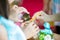 Close up conch shell in hand, wedding accessory for thai culture wedding ceremony with blur groom and bride on background.